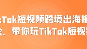 TikTok短视频跨境出海撸美金，带你玩TikTok短视频